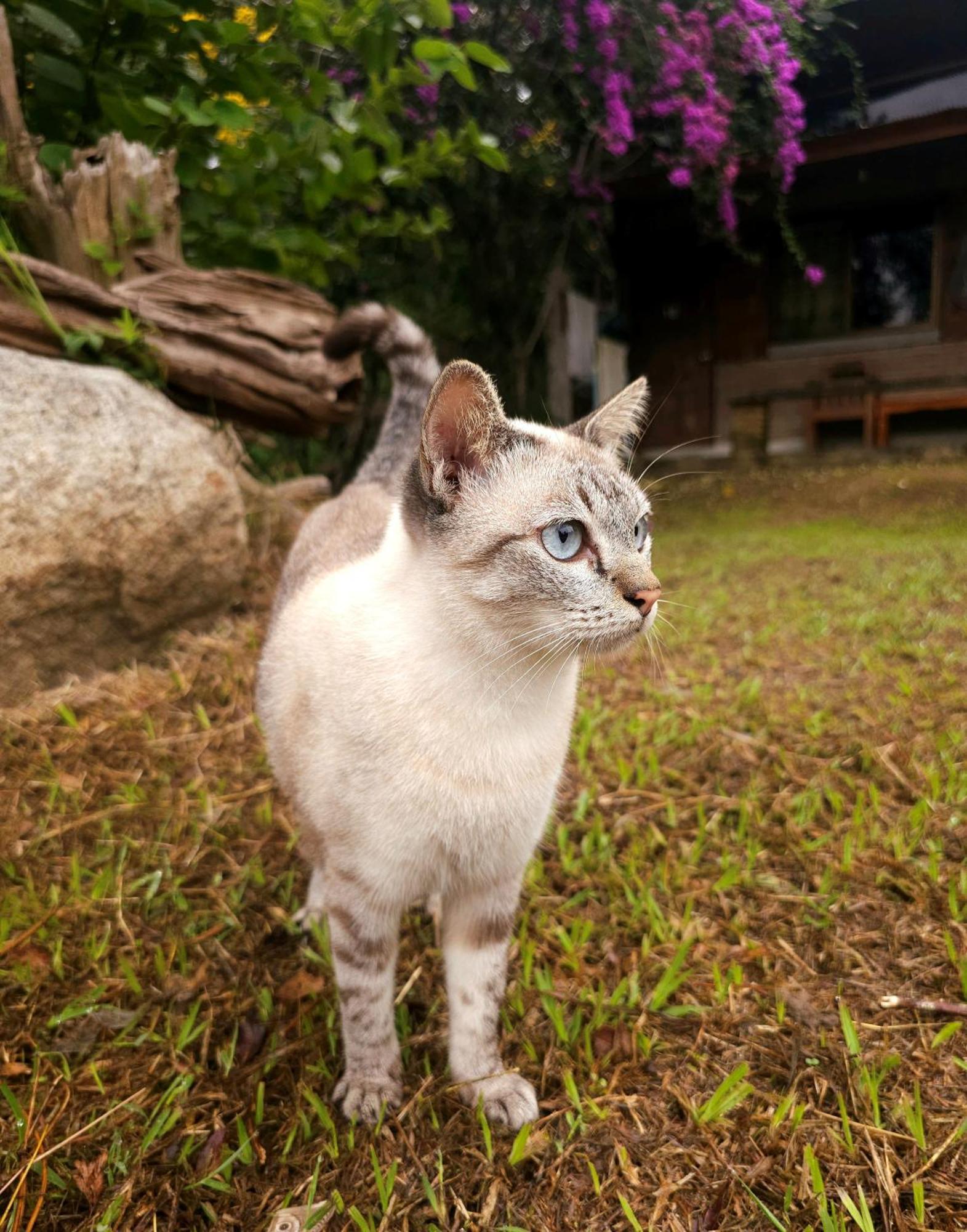 Pai Kiniman Resort Buitenkant foto